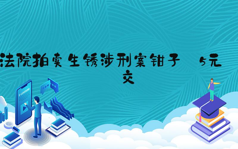 法院拍卖生锈涉刑案钳子 5元成交
